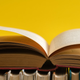 Image for article titled Last Call: the dictionary has, at last, recognized the tallboy. What food word should be next?